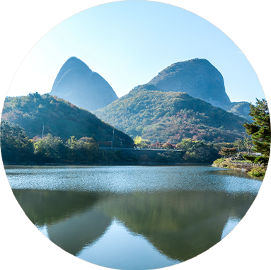 고려봉밀 홍삼절편 point2